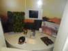 bb2sp_0068_small.jpg
