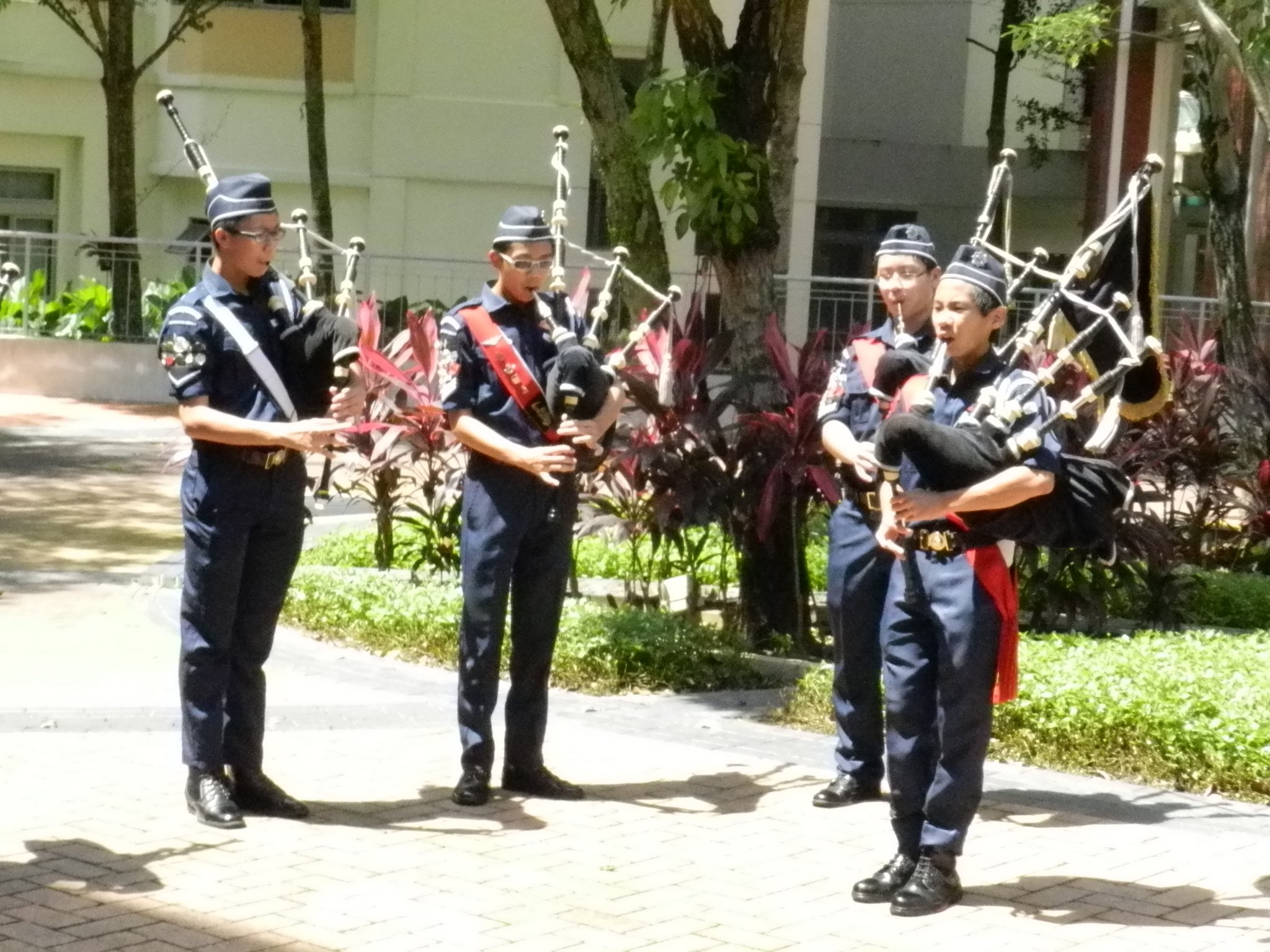 bb2sp_0295.jpg