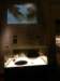 bb2sp_0449_small.jpg
